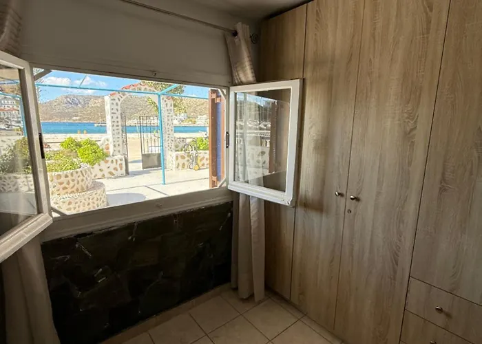 Apalonia Daire İlipsi